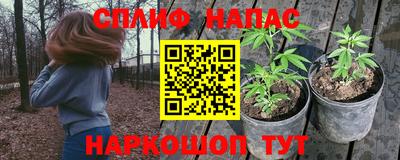 спайс Ливны