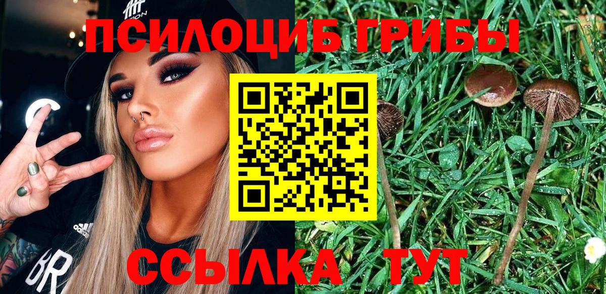 Галлюциногенные грибы мухоморы Гагарин
